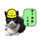 安全第一！仕事猫エレが作業現場で一言！（個別スタンプ：34）