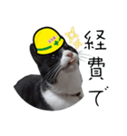 安全第一！仕事猫エレが作業現場で一言！（個別スタンプ：35）