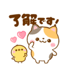 連絡ことば♡豆柴日和♡ねこねこにゃんこ（個別スタンプ：1）