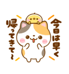 連絡ことば♡豆柴日和♡ねこねこにゃんこ（個別スタンプ：15）