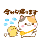 連絡ことば♡豆柴日和♡ねこねこにゃんこ（個別スタンプ：19）