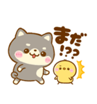 連絡ことば♡豆柴日和♡ねこねこにゃんこ（個別スタンプ：26）