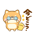 連絡ことば♡豆柴日和♡ねこねこにゃんこ（個別スタンプ：29）