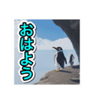 【日常生活で使える】ペンギンの日常（個別スタンプ：1）