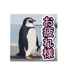 【日常生活で使える】ペンギンの日常（個別スタンプ：6）