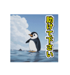 【日常生活で使える】ペンギンの日常（個別スタンプ：13）