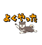 今日も柴犬が可愛い3 -黒柴-（個別スタンプ：25）