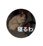 けんと おとち しょーん（個別スタンプ：5）