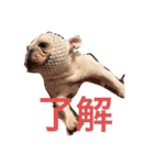 けんと おとち しょーん（個別スタンプ：20）