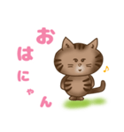 猫のたまちゃんの毎日（個別スタンプ：1）