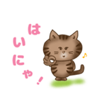 猫のたまちゃんの毎日（個別スタンプ：5）