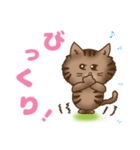 猫のたまちゃんの毎日（個別スタンプ：24）