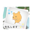 NEWハムちゃんなのだ！2/使えるスタンプ（個別スタンプ：17）