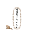 猫のわたげ②（個別スタンプ：5）