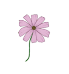 お花と花瓶のコーディネート（個別スタンプ：2）