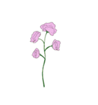 お花と花瓶のコーディネート（個別スタンプ：4）