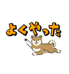 今日も柴犬が可愛い3 -胡麻柴-（個別スタンプ：25）