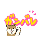 今日も柴犬が可愛い3 -胡麻柴-（個別スタンプ：26）