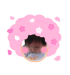 toatoa②（個別スタンプ：6）