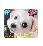 めりる20240904（個別スタンプ：3）