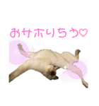 お酒とネコ好きな日常会話10 ビジネスver.（個別スタンプ：9）