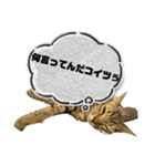 お酒とネコ好きな日常会話10 ビジネスver.（個別スタンプ：15）