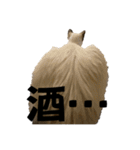 お酒とネコ好きな日常会話10 ビジネスver.（個別スタンプ：16）