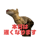 お酒とネコ好きな日常会話10 ビジネスver.（個別スタンプ：26）