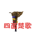 お酒とネコ好きな日常会話10 ビジネスver.（個別スタンプ：28）