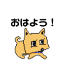 シロコロピクセル(コロチャ)（個別スタンプ：2）