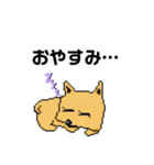 シロコロピクセル(コロチャ)（個別スタンプ：4）