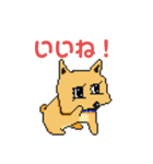 シロコロピクセル(コロチャ)（個別スタンプ：5）