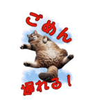 待ち合わせ猫でコミュニケーション（個別スタンプ：4）
