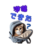 待ち合わせ猫でコミュニケーション（個別スタンプ：28）