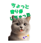 待ち合わせ猫でコミュニケーション（個別スタンプ：32）