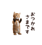 ▶︎踊る！にゃんこ【敬語】（個別スタンプ：4）