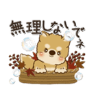 柴犬・茶色い犬『秋』（個別スタンプ：18）