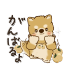 柴犬・茶色い犬『秋』（個別スタンプ：27）