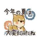 柴犬・茶色い犬『秋』（個別スタンプ：37）