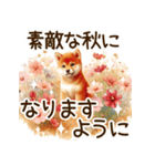 毎日使える柴犬のデカ文字（個別スタンプ：24）