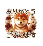 毎日使える柴犬のデカ文字（個別スタンプ：40）