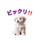 子犬たくさん（個別スタンプ：5）