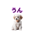 子犬たくさん（個別スタンプ：6）