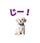 子犬たくさん（個別スタンプ：7）