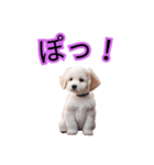 子犬たくさん（個別スタンプ：8）