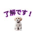 子犬たくさん（個別スタンプ：10）