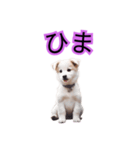 子犬たくさん（個別スタンプ：11）