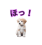 子犬たくさん（個別スタンプ：12）