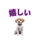 子犬たくさん（個別スタンプ：13）