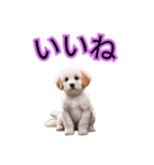 子犬たくさん（個別スタンプ：14）